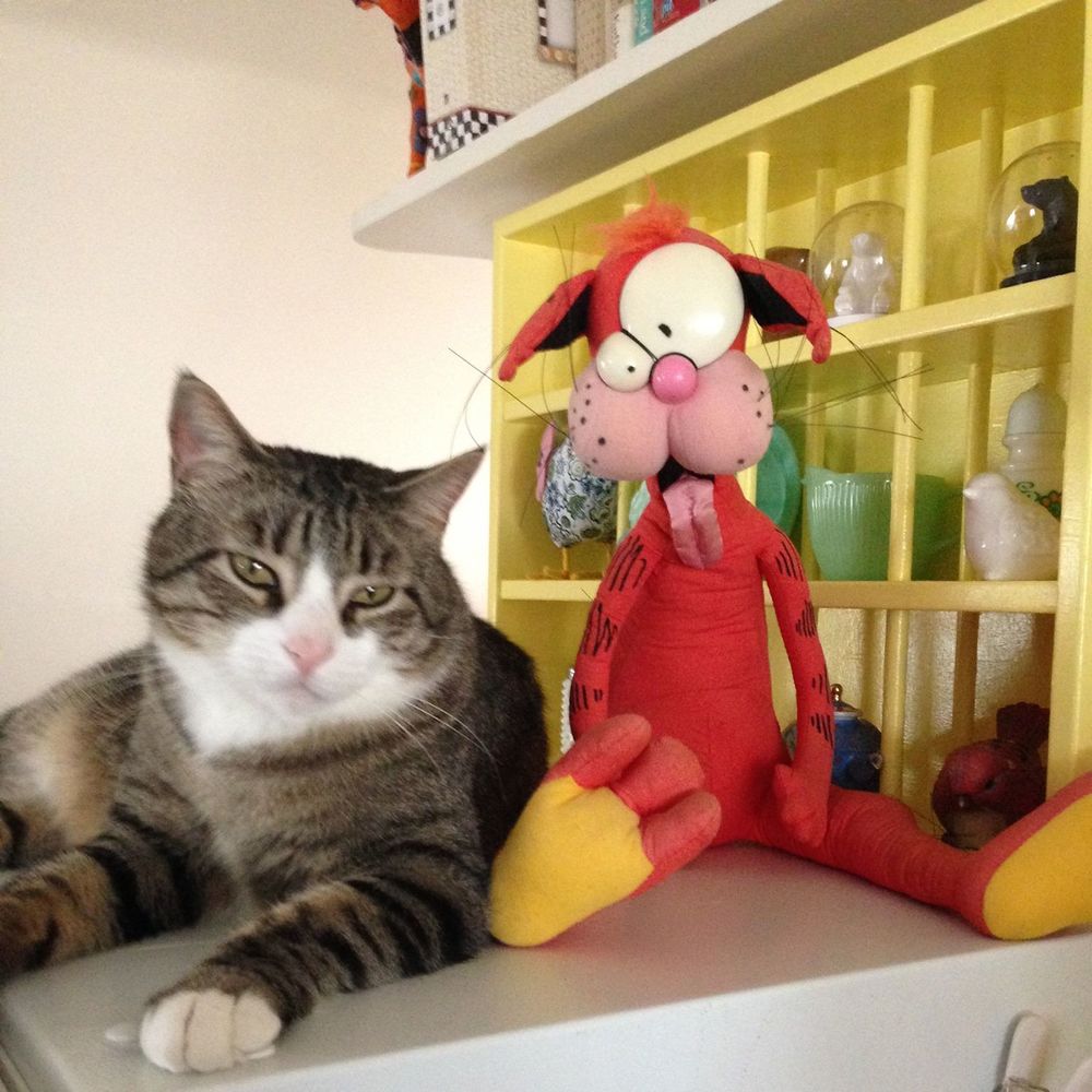 Meet your Posher, Vicki